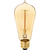 60 Watt - Edison Bulb - Incandescent Vintage Light Bulb - 400 Lumens - 5.4 in. x 2.2 in.  Thumbnail