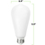 250 Lumens - 2.5 Watt - 2200 Kelvin - LED Edison Filament Bulb - 5.5 in. x 2.5 in. Thumbnail
