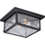 11 in. Outdoor Flush Mount Ceiling Light Fixture - Seeded Glass - Black Finish Thumbnail