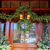 24 in. Christmas Wreath - Norfolk Pine - Battery Operated Thumbnail