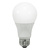 LED A19 - 8 Watt - 60 Watt Equal - Halogen Match Thumbnail