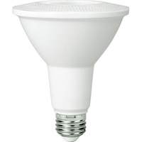 LED 11W PAR30 2700K