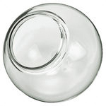 Clear Globes with Neck Opening - Category Image