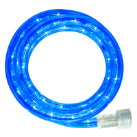 BLUE - LED Rope Light
