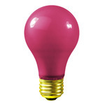 Pink Light Bulbs - Category Image