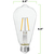 250 Lumens - 2.5 Watt - 4000 Kelvin - LED Edison Filament Bulb - 5.5 in. x 2.5 in. Thumbnail