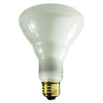 BR30 Reflector Incandescent Light Bulbs - Category Image