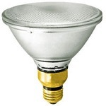 90 Watt PAR38 Halogen Light Bulbs - Category Image