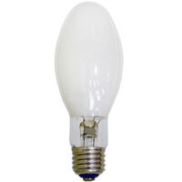 100W ED17 E26 MH PS UNIV PROT