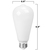 450 Lumens - 5 Watt - 2400 Kelvin - LED Edison Filament Bulb - 5.5 in. x 2.5 in. Thumbnail