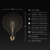 5 in. Dia. - LED G40 Globe Filament Bulb - 4 Watt - 40 Watt Equal - Warm White Thumbnail