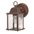 Nuvo 60-637 (1 Light) Wall Lantern Thumbnail