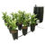 Grow Flow Controller and Bucket Kit - 7 Gallon Thumbnail
