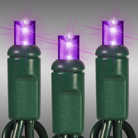 50L M5 PURPLE