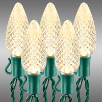 25L WW C9 Faceted String