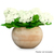 20 in. Wide White Hydrangea Topiary - UV Resistant Thumbnail