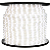 FROSTED- LED Rope Light