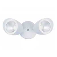 LED Flood light