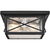 11 in. Outdoor Flush Mount Ceiling Light Fixture - Seeded Glass - Black Finish Thumbnail