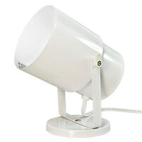 Multi Purpose White Spot Light