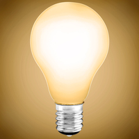 250 Lumens - 3 Watt - 2700 Kelvin - LED A15 Filament Bulb - Opal Finish - 25 Watt Equal - Intermediate Base - 90 CRI - 120 Volt - PLT-13466
