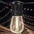 25 ft. Patio String Lights - (15) LED S14 Bulbs Included Thumbnail