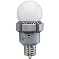 LED 20W FLEXCOLOR A21 HO