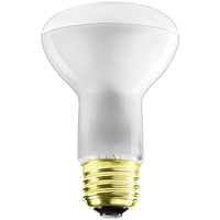 30 W R20 Long Neck