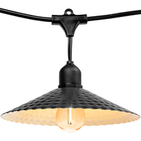 15 ft. Patio Stringer - Comes with (10) LED S14 Filament Bulbs and (10) Hammered Iron Shades - Black Finish - White Baffle - Black Wire - (10) Suspended Medium Base Sockets - 12 in. Socket Spacing - Male to Female Plug Connection - PLT-13599