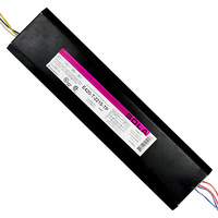 F72T12 F96T12/VHO 2 Lamp