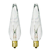 25W PRISMATIC CLEAR 2PK