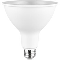 LED PAR38 14W 2700K