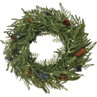 24 in. Christmas Wreath - Norfolk Pine - Battery Operated - Pre-Lit with Warm White LED Mini Lights - Indoor/Outdoor - PLT-20344