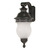 Nuvo 60-879 - (Arm Down) Wall Lantern Thumbnail
