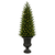2.5 ft. Christmas Tree Topiary - Pre-Lit with Color Changing RGB+WW LED Mini Lights - Remote Control Included Thumbnail