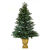 Antique Gold Tree Pot Thumbnail