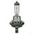 H11B - H11B Headlight Lamp - 55 Watt Thumbnail