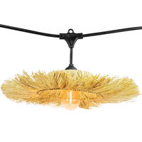 15 ft. Patio Stringer - Comes with (10) LED S14 Filament Bulbs and (10) Straw Shades - Black Wire - (10) Suspended Medium Base Sockets - 12 in. Socket Spacing - Male to Female Plug Connection - PLT-13604