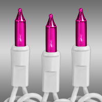 50L 2.5 SPACE PINK BULB