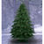 10 ft. x 69 in. Artificial Christmas Tree Thumbnail