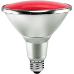 PAR38 Bulbs - Category Image