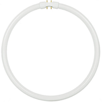 T5 Circular Lamp Warm White