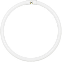 40W CIRCLINE LAMP