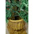 Antique Gold Tree Pot Thumbnail