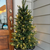 2.5 ft. Christmas Tree Topiary - Pre-Lit with Color Changing RGB+WW LED Mini Lights - Remote Control Included Thumbnail
