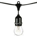 25 ft. Patio String Lights - Category Image
