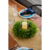 18 in. Boxwood Wreath - UV Resistant Thumbnail