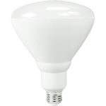 JA8 Compliant Bulbs - BR40 Short Neck - Category Image
