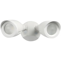 LED SEC LT BULL 2HEAD 20W WHT