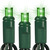 LED Mini Light Stringer - 17 ft. - (50) LEDs - Green - 4 in. Bulb Spacing - Green Wire Thumbnail